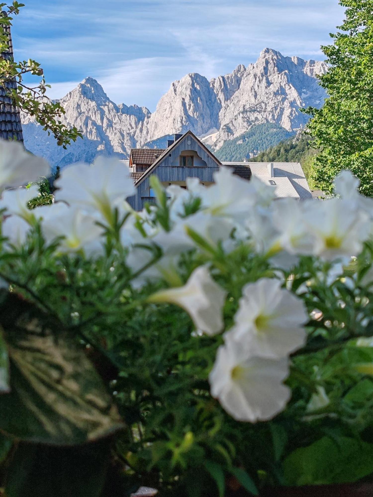 Apartments & Rooms Smucka Kranjska Gora Exterior photo